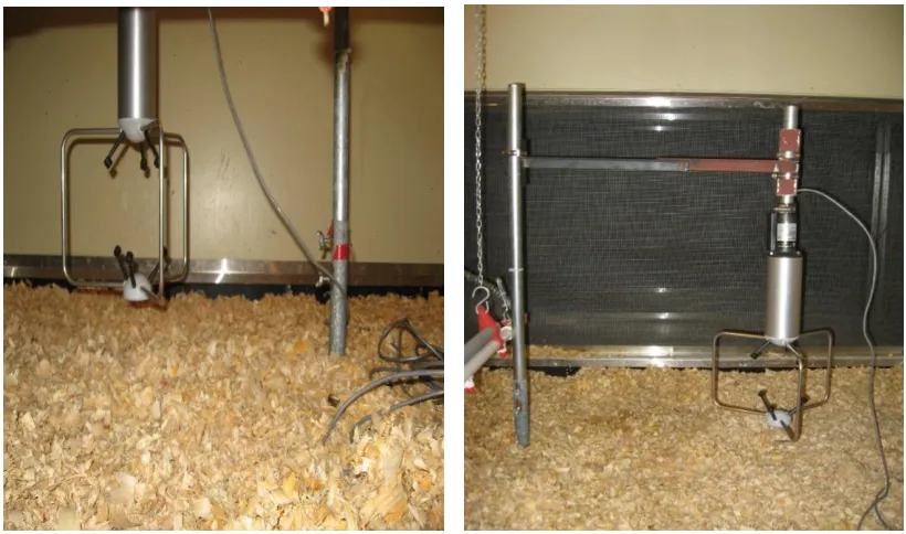 Figure 2.5 Sensor setup at bird height (0.20 m (8in) from ground) 
