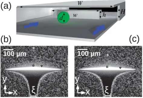Fig. 1(a) Schematic of microchip geometry (not to scale), showing a33microspheres marked by the circle, square, and triangle symbols aresingle microsphere ﬂowing towards the ﬂat-topped ridge over which ﬂuidcan ﬂow