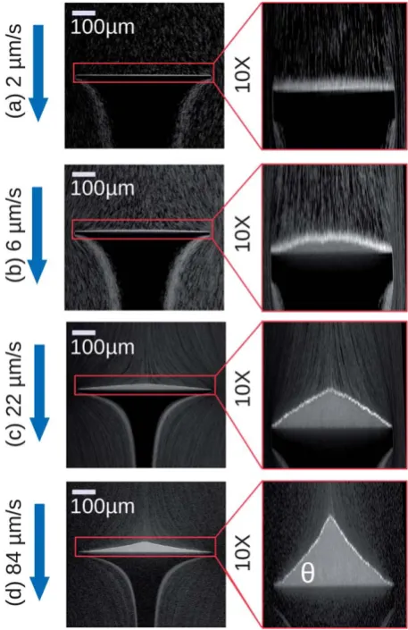 Fig. 1b and c). While microspheres do not enter this zone