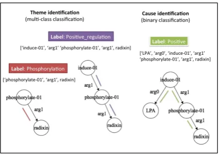 Figure 2: Theme identiﬁcation and Cause identi-ﬁcation stages