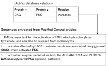 Figure 3: Distant Supervision: Sentences extracted fromPubMed Central articles using BioPax database relations