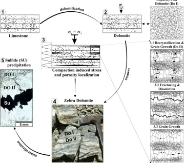 Figure 4. Conceptual model of zebra texture formation in dolomite involving the development of compaction compaction instabilities leading to fracturing and subsequent dissolution along the median line of the coarse grained layers (3.2)