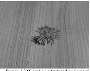 Figure 1.3 Object on a textured background 