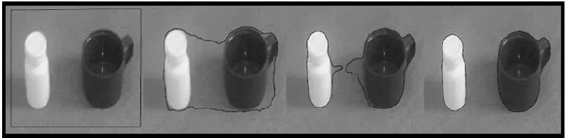 Figure 4.1 Active contour result using Li’s algorithm (clear Background) 
