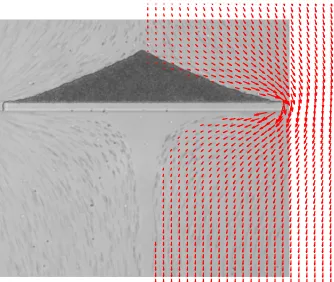 Figure 1.1 Example ﬂow-stabilized solid with 1040nm microspheres at a steady-state. On the right half ofthe image, a ﬂuid ﬂow simulation is overlaid in red.