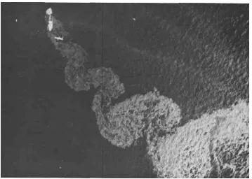 Figure 1.2: Shallow wake behind Argo Merchant (Van Dyke, 1982). 