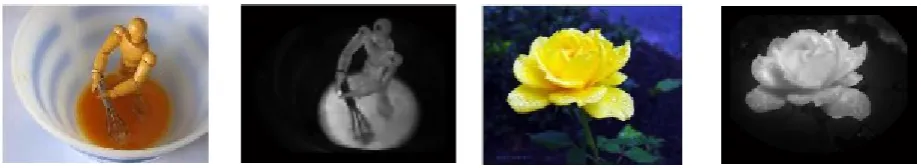 Fig. 1. Two examples of original images and their saliency maps.