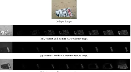 Fig. 3. Different texture maps.