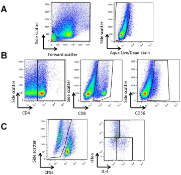 Fig 5. Representative flow cytometry gating strategy to assess immune cell response to crustaceanextracts