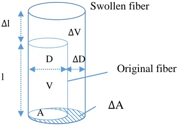 Figure 2.9: changes in fiber dimensions due to swelling (Morton, Hearle, 2008) 