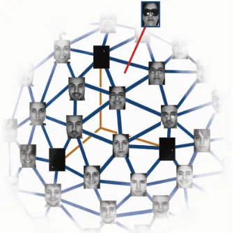 Fig. 4. Face recognition with occlusion. The columns of _B ¼ _½A; I_span a high-dimensional polytope   