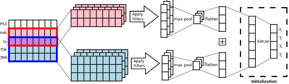 Figure 2: Convolutional Neural Network (CNN) architecture with the initialization layer outlined