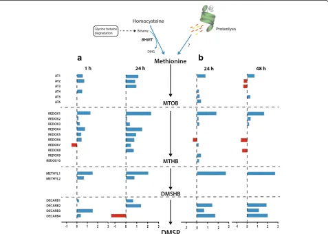 Fig. 4 Summary of changes in expression levels of coral genes that are candidates for involvement in an algal-like pathway of DMSP synthesis.For each candidate gene, transcripts levels are indicated as a bar, the length of which indicates log2-fold change 