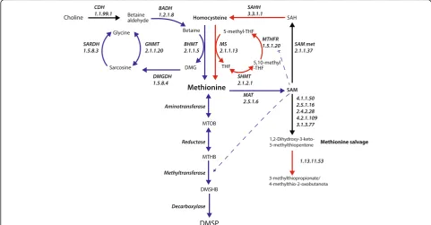Fig. 3 Changes in expression levels of genes involved in methionine metabolism during hyposaline stress in the coral(FDR <0.05, see Additional file 2: Table S4, for values)