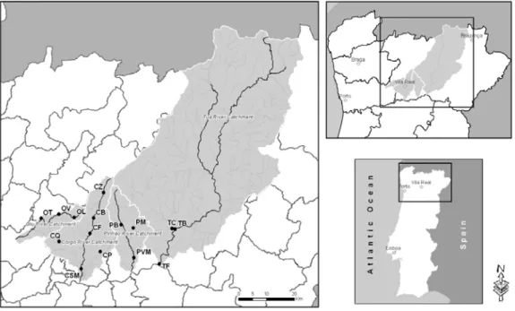 Figure 1: Location of the 15 study sites along the Olo, Corgo, Pinhão and Tua rivers, all from the Douro  catchment, Northern Portugal