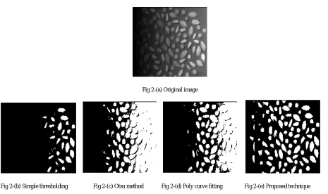 Fig 2-(a) Original image   