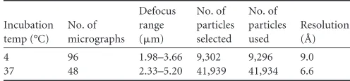 TABLE 1 Cryo-EM statistics