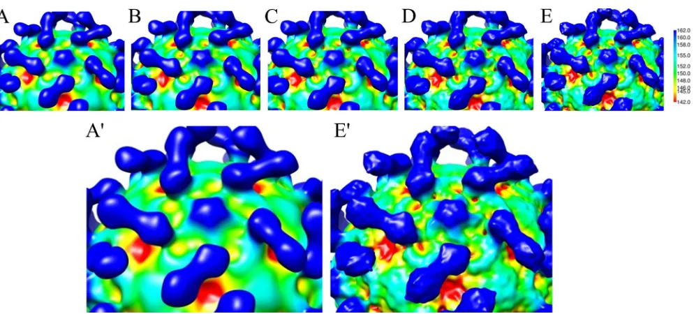 TABLE 3 Sequence conservation within the CVB3-CAR receptor footprinta