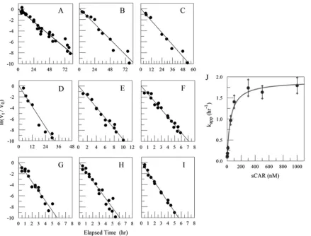 TABLE 5 Consensus virus footprint onto CARa
