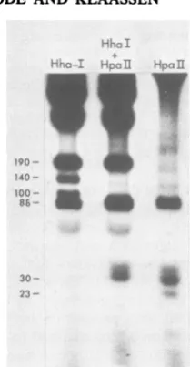 FIG. 2.ethidiumHpaII,usinglane.RFasample 1-cm Electrophoresis pattern of 32P-labeled H-1 DNA fragments produced by: HhaI, HhaI + and HpaII