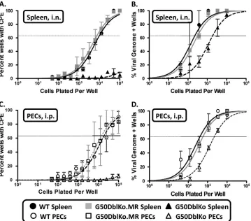 FIG 10 G50DblKo virus exhibits a severe reactivation defect and a moderate latency defectand B) or with 1,000 PFU i.p