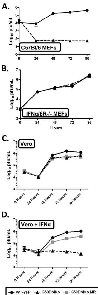 FIG 6 Single-step growth analyses of the G50pDblKo mutant and analysis ofthe kinetics of RTA expression