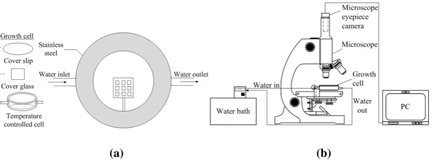 Figure 1. The experimental set up of growth rate experiment (a) crystal growth cell and (b) 