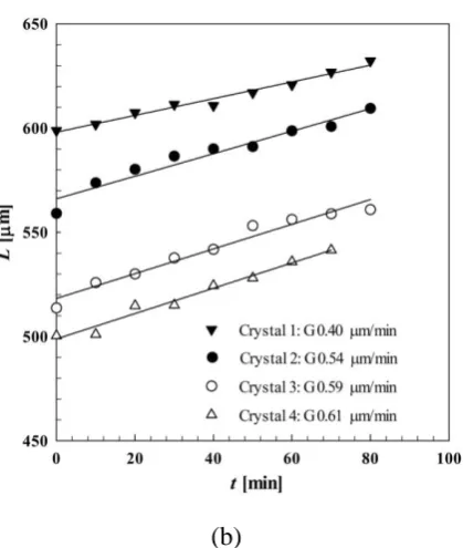 Figure 4. Relationship between crystal size (length) of L-Asn∙H2O and time in supersaturated solution (S = 1.1) of (a) L-Asn∙H2O and (b) DL-Asn∙H2O at 30°C