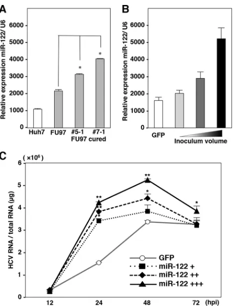 FIG 7 HCV particles produced in FU97 cells exhibit similar characteristics to those in hepatic cells