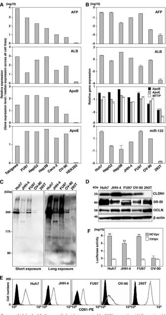 FIG 1 JHH-4 and FU97 cells express high levels of the liver-speciﬁc host factors required for HCV propagation