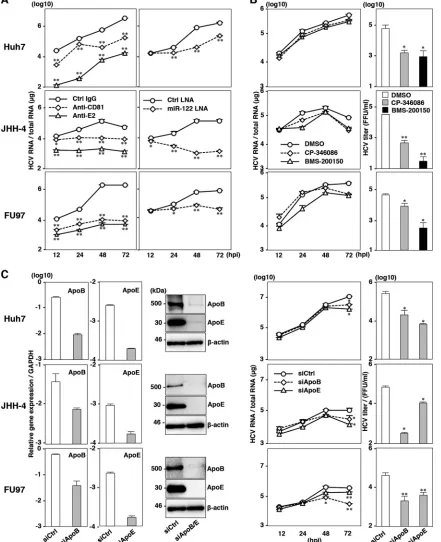 FIG 3 JHH-4 and FU97 cells permit complete propagation of HCVcc without any exogenous expression of host factors crucial for propagation of HCVcc