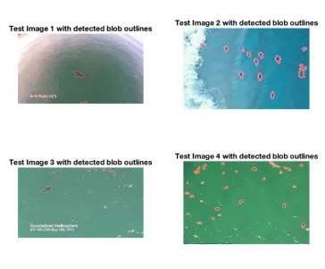 Figure 4.9: Detected blob outlines overlaid on original image using Value pixel thresholding.