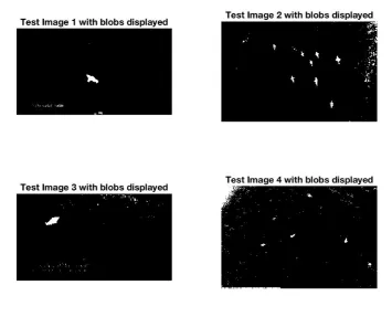 Figure 5.2: How a computer ’sees’ a shark.