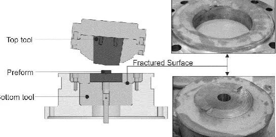 Figure 7. The radial velocity of points in the material for different bite sizes. Main picture: 
