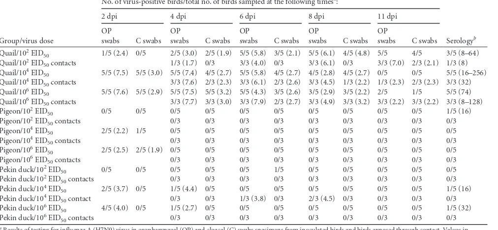 TABLE 2 Transmission of inﬂuenza A (H7N9) virus in quail, pigeons, and ducks