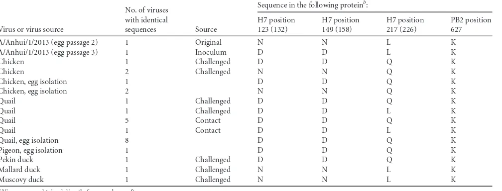TABLE 3 Comparison of common sequence polymorphisms in H7 HA1 and PB2 proteins between parental strain A/Anhui/1/2013 (H7N9) andderivative viruses recovered from birds inoculated with A/Anhui/1/2013a