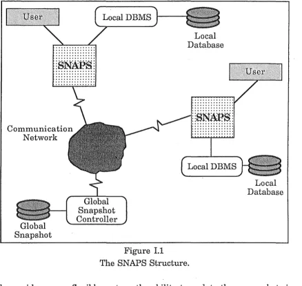 Figure I.l The SNAPS Structure. 