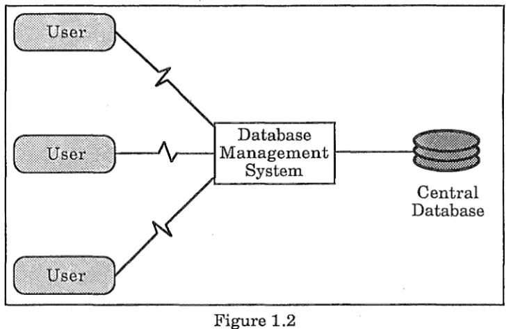 Figure 1.2 Architecture of a Central Database Management System 