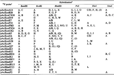 TABLE 2. Summary of the results of hybridizations of 32P-labeled recombinant plasmids to AcNPV DNAdigests on nitrocellulose filters