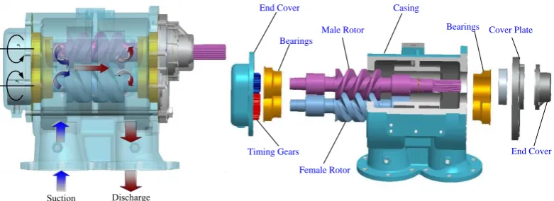 Figure 1 Structure and components of twin-screw pump 