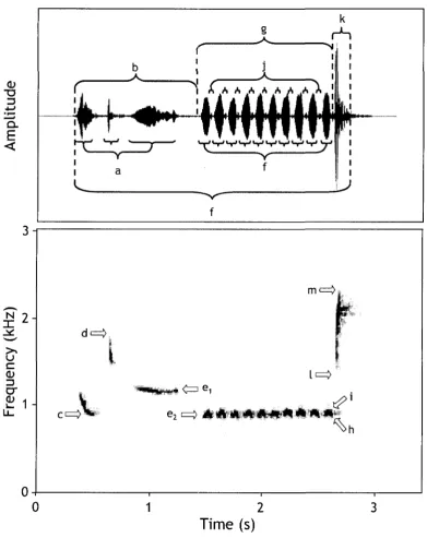 Figure 1. Waveform and spectrogram depicting a Rufous-and-white Wren song, highlighting 