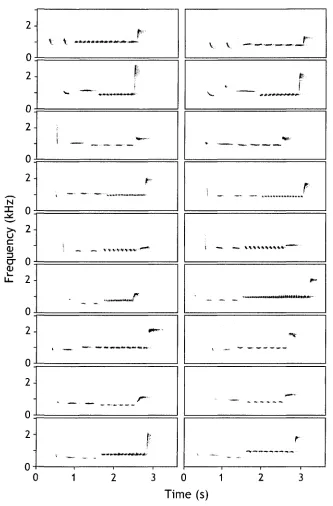 Figure 2. Spectrograms of two examples of each of the nine most common song classes in 