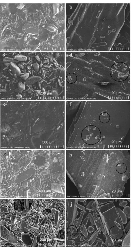 Figure 5. SEM images of a and b) untreated acetaminophen powder sample, c and d) 50 cycles ALD AlALD TiOh) 50 cycles TiOsample, and i and j) 50 cycles ZnO coated 2O3 coated acetaminophen sample, e and f) 50 cycles 2 (TiCl4) coated acetaminophen sample, g a