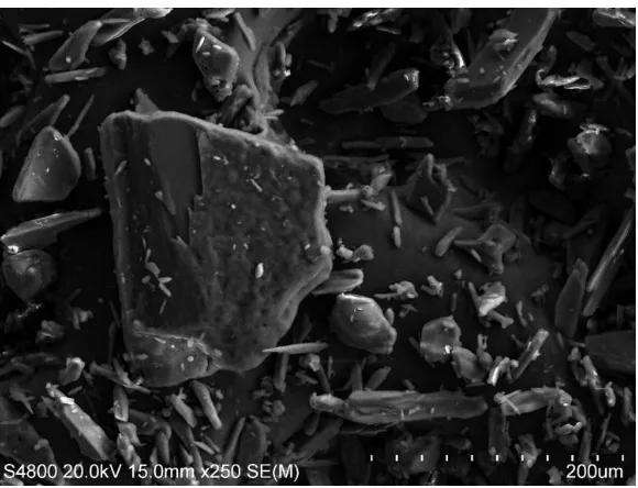 Figure 8. SEM image of 50 cycles ALD TiO2 (TTIP) coated acetaminophen sample. 