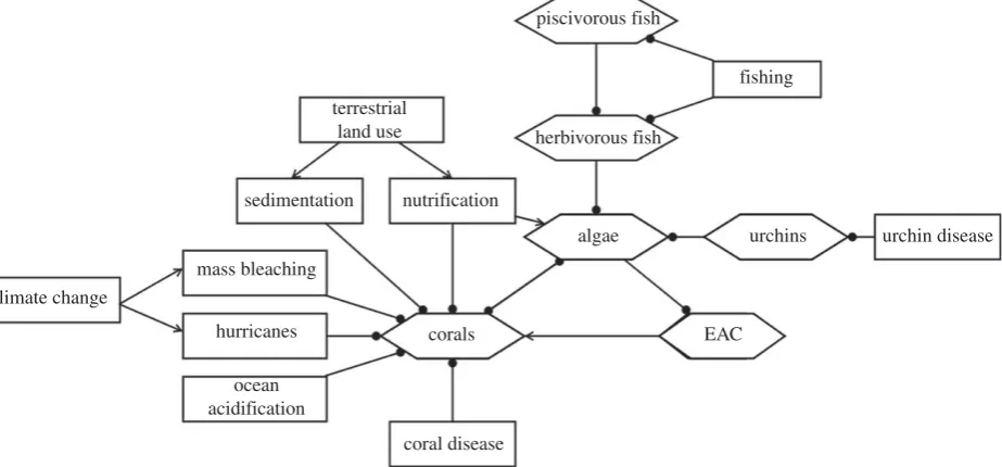 Figure 2. Conceptual model of ecological processes relevant to the risk assessment of the Meso-American Reef
