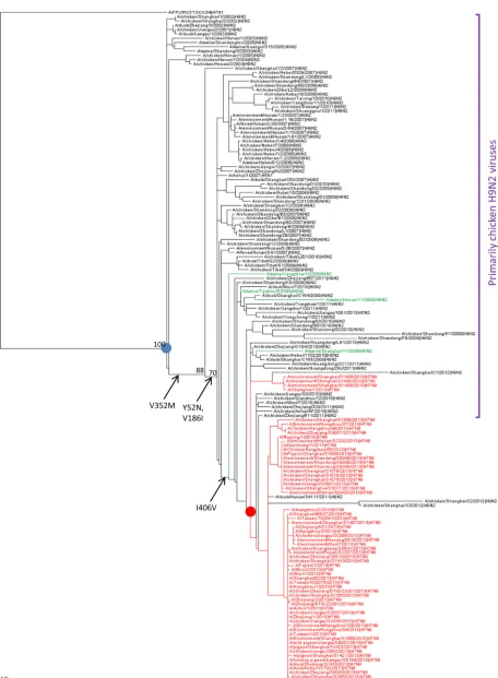 FIG 4 Phylogenetic tree of the NP gene and inferred ancestral amino acid changes in NP