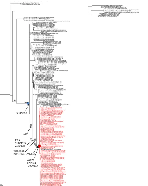 FIG 11 Phylogenetic tree of the NA gene and inferred ancestral amino acid changes in NA