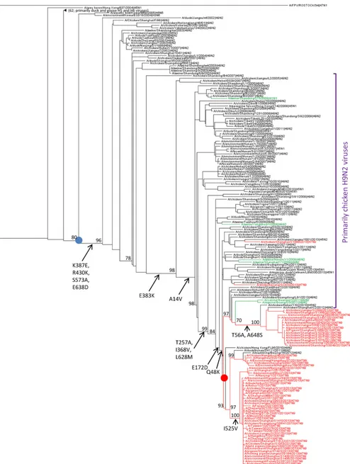 FIG 2 Phylogenetic tree of the PB1 gene and inferred ancestral amino acid changes in PB1