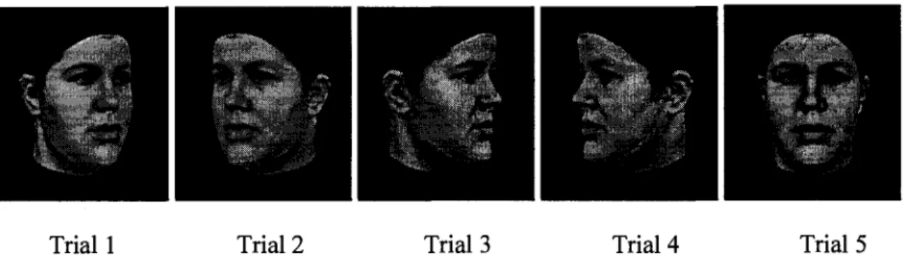 Figure 1. Procedure for the Learning Conditions 