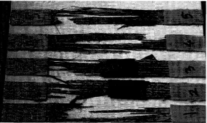 Figure 3.4 - Coupon Failure 